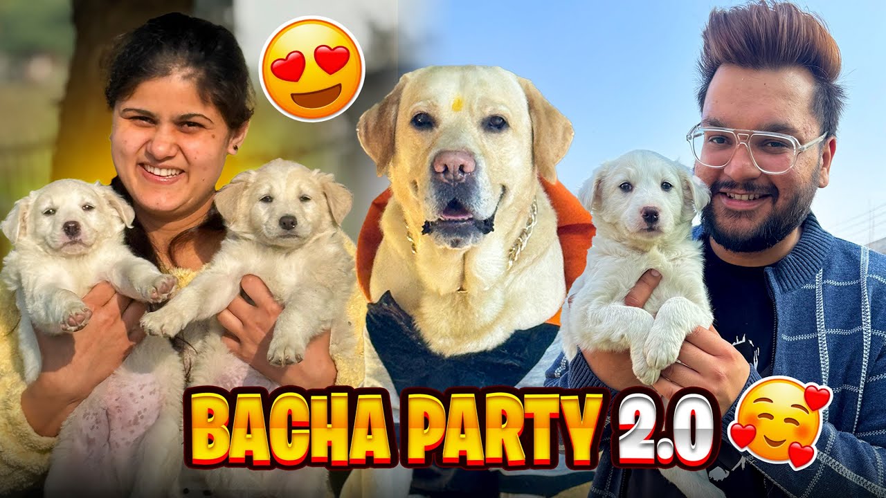 Humari Bacha Party 2.O 😍 Ruii ke Puppies 🥰 