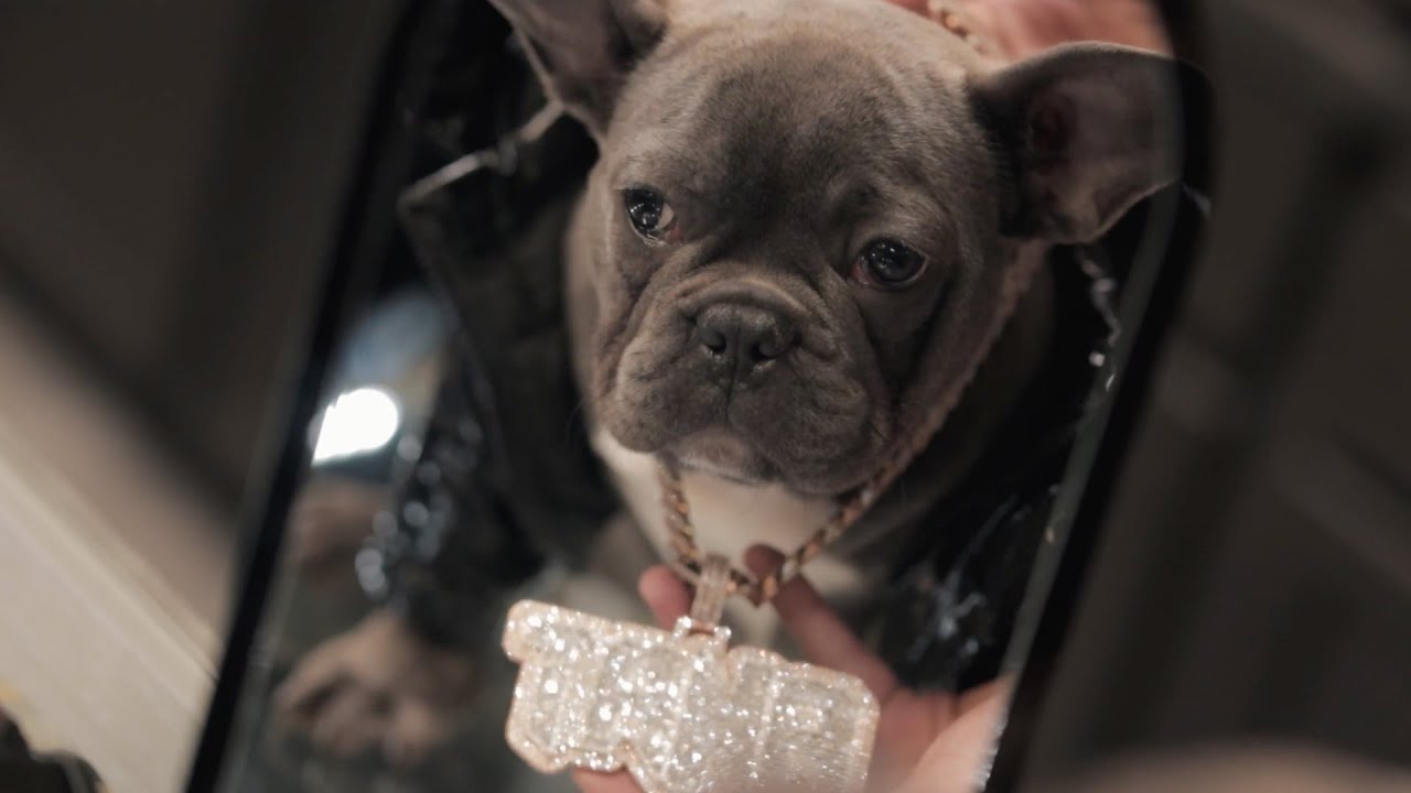 Jizzle Buckz - Moncler on My Frenchie (Official Video) | Shot by @NicoNelMedia