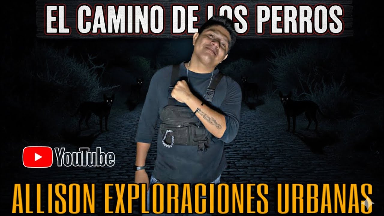El Místico Camino De Los Perritos 🚧🛑🚧