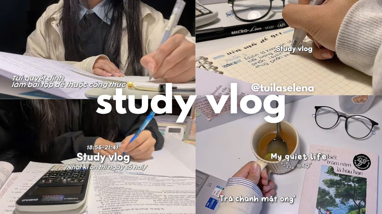TỔNG HỢP | Study vlog 𓇼 ⋆｡˚ 𓆝⋆｡˚ 𓇼 (unboxing,nhật kí nghỉ đông,đọc sách chill chill, học bài)…
