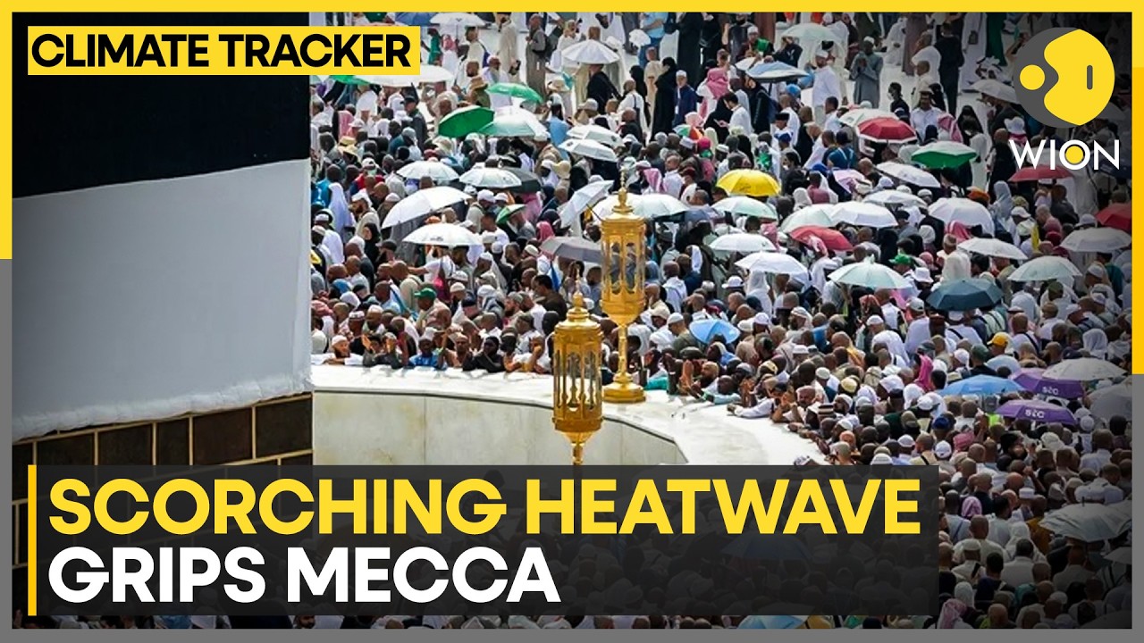 Mecca Heatwave: Devotees Continue Journey Amid Extreme Desert Heat | WION Climate Tracker