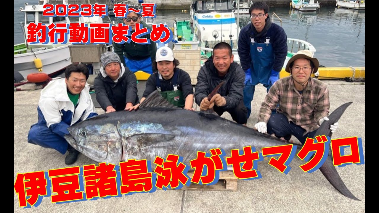 泳がせマグロ2023年 春～夏 釣行動画まとめ