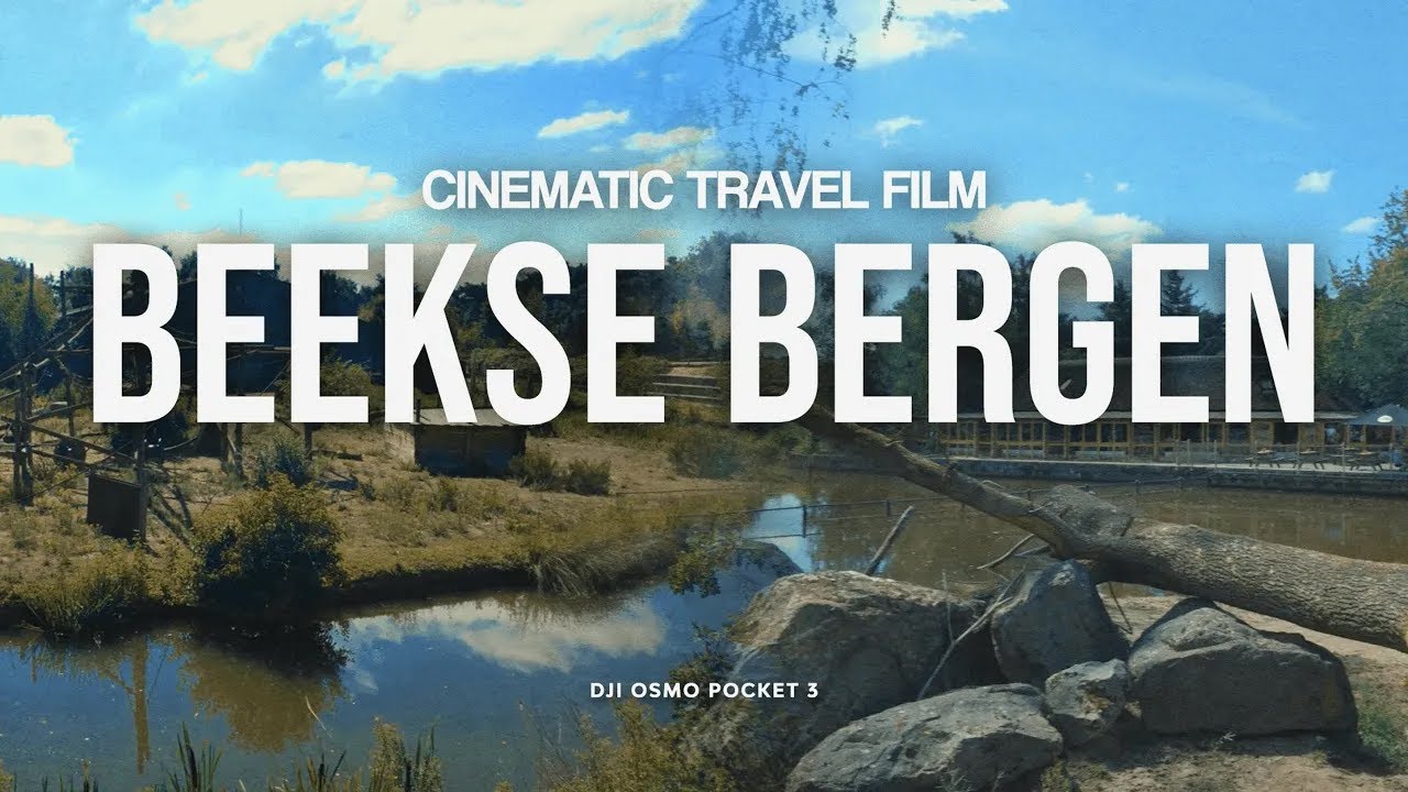 BEEKSE BERGEN | Cinematic Travel Film in the Netherlands Safari Park