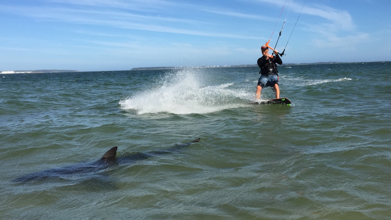 Shark Kitesurfer Brighton Le Sands Sydney by Adam Carmer (kiter Pierre Olivier)