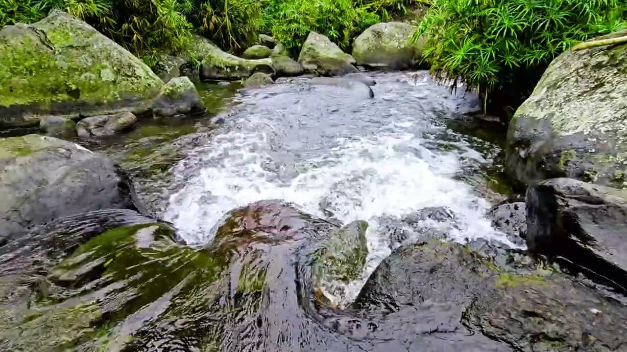 Pure Forest Stream ASMR 🌿 Crystal Clear Water Sounds | 4K Nature Relaxation