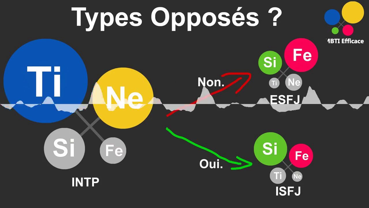 Comment Connaître Le VRAI Type Opposé Au Tien ? (MBTI)