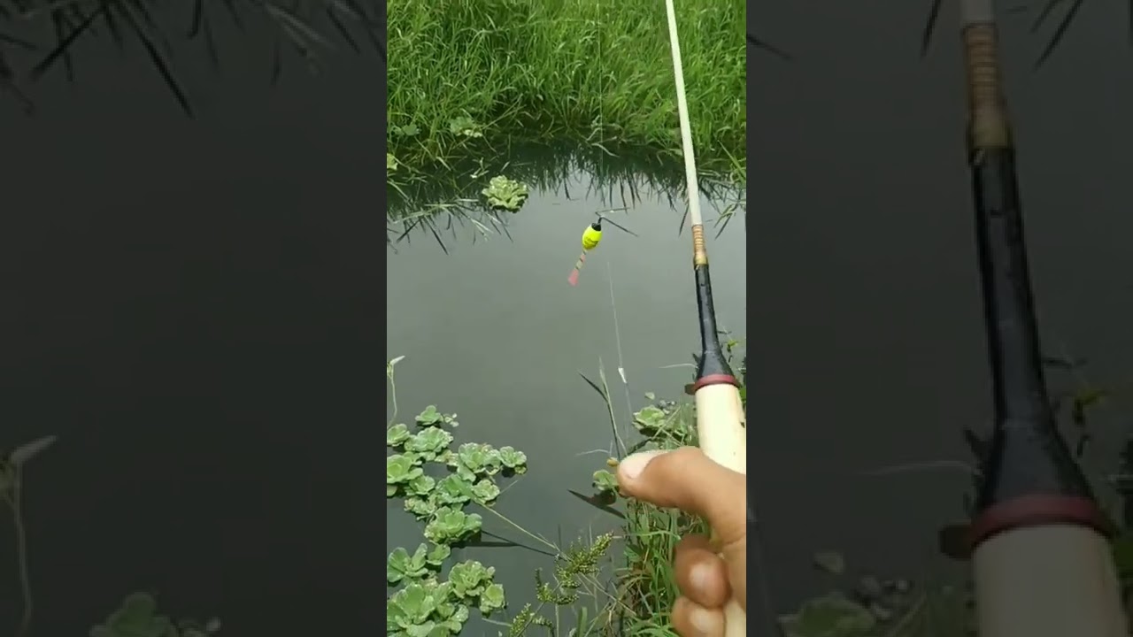 mancing wader sekali lempar langsung strike, pake teknik pelampung super cantik ala youtubers
