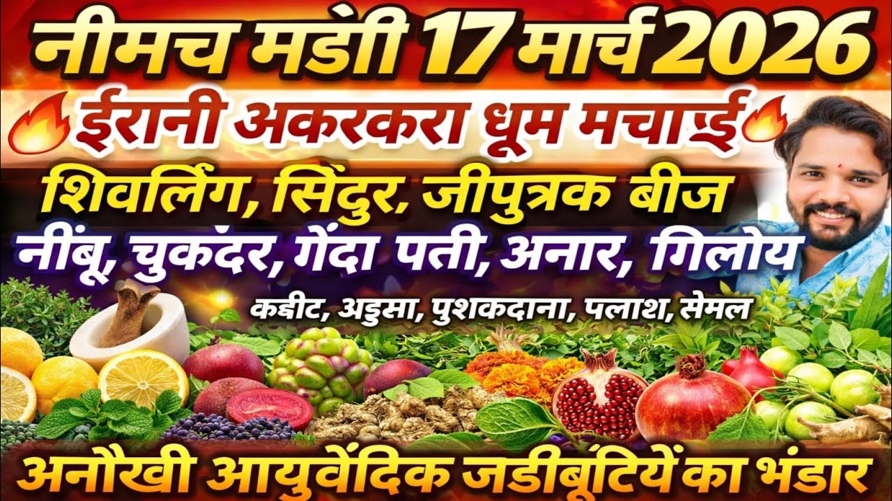 नीमच मंडी भाव। आज का औषधीय का भाव। औषधी भाव। Neemuch mandi bhav aushdhi bhav, irani akarkara bhav
