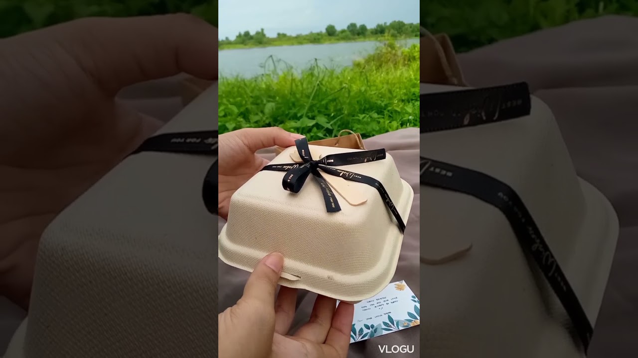 Unboxing Korean Lunch Box Cake