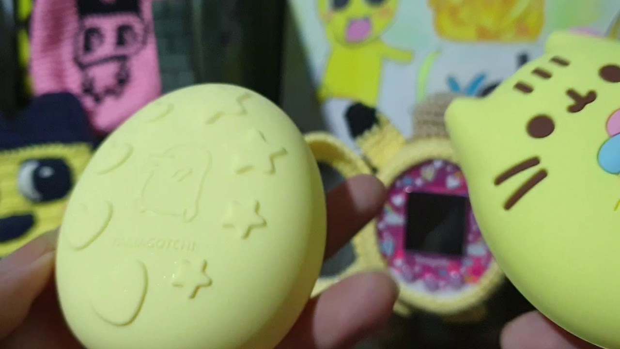 Tamagotchi cases