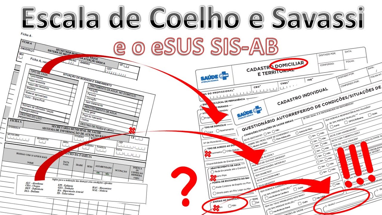 Escala de Coelho e Savassi de Vulnerabilidade Familiar e o SIS-AB/ eSUS - Como utilizar
