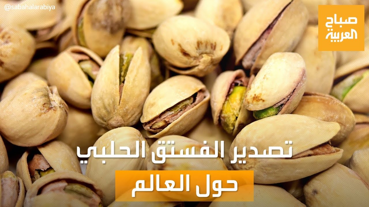 صباح العربية| تعرف على الدول المصدرة للفستق الحلبي حول العالم