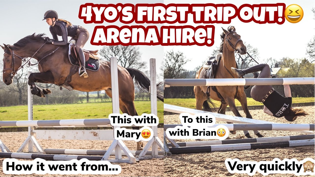 YOUNG HORSE’S FIRST TRIP OUT IN THE LORRY! - I fell off….