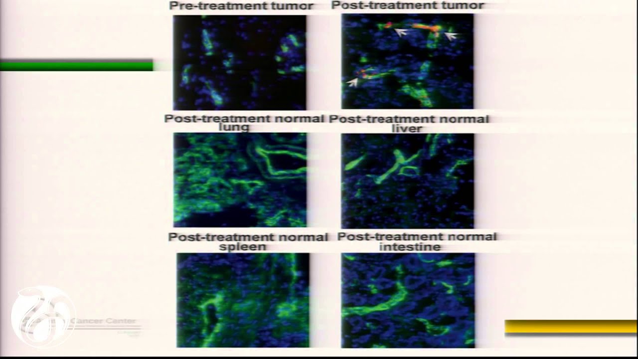 6/8/2015 - Session 3 Presentation: Thamm