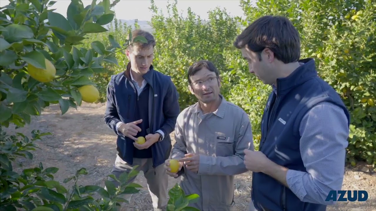 Success Story: Complete solution for a 100-hectare lemon farm