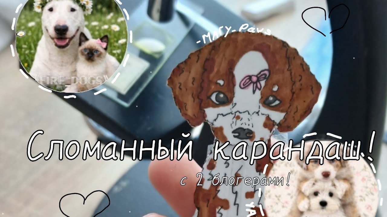 Сломанный карандаш с 3 блогерами!✏️ @FIRE_dogs1 @yana-s9e2e