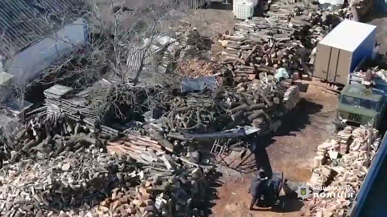 Незаконна вирубка лісу майже на 2 млн гривень