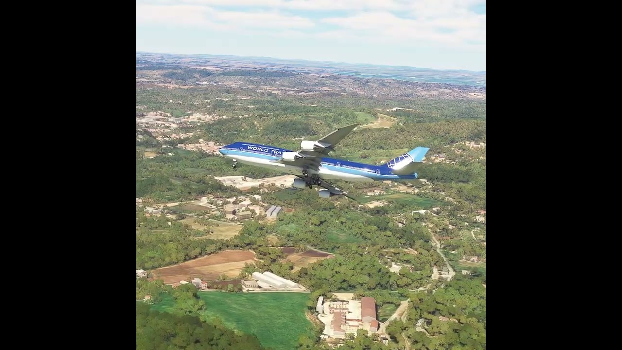 the pilot's actions endangered the plane's passengers EP307