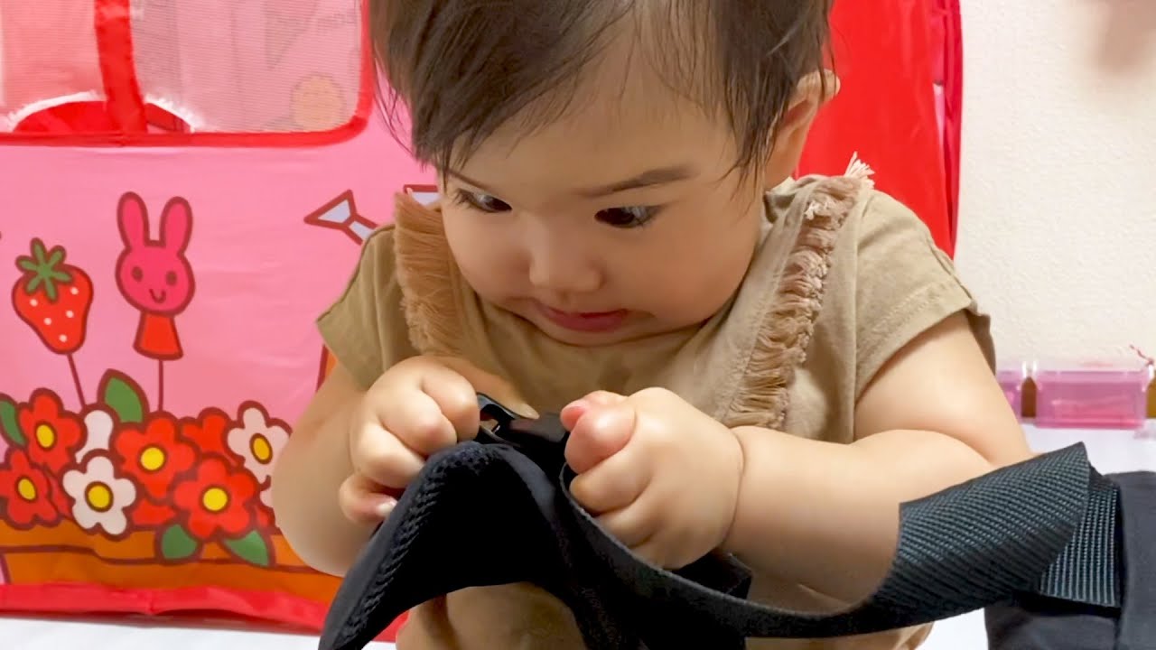 力の入る動画