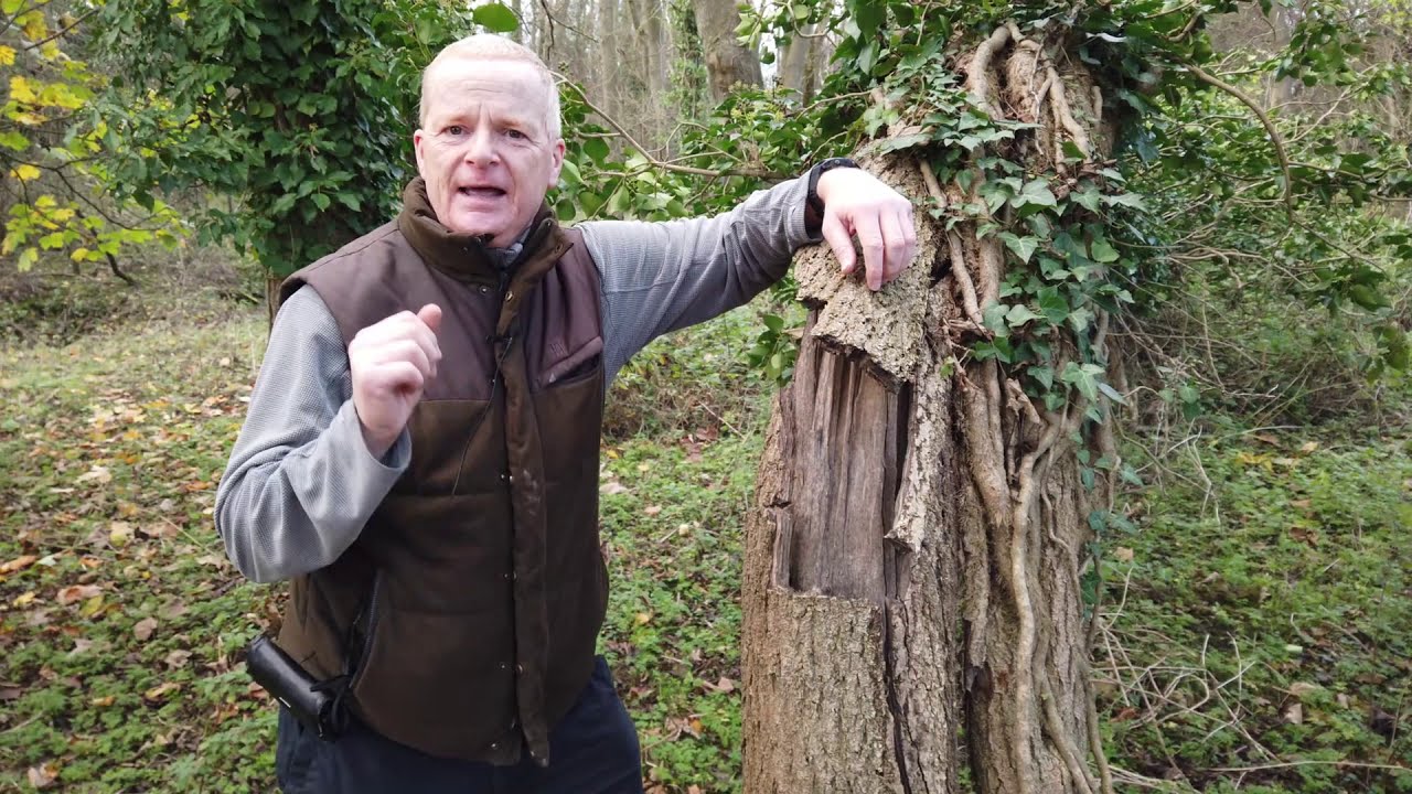3 great reasons for ecology training