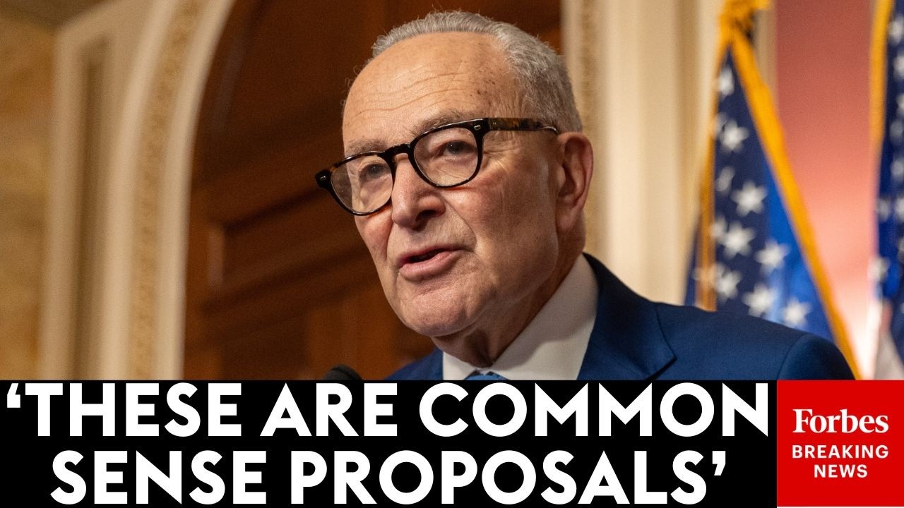 Chuck Schumer Lays Out 'Three Basic Objectives To Reign In ICE' To End DHS Funding Negotiations