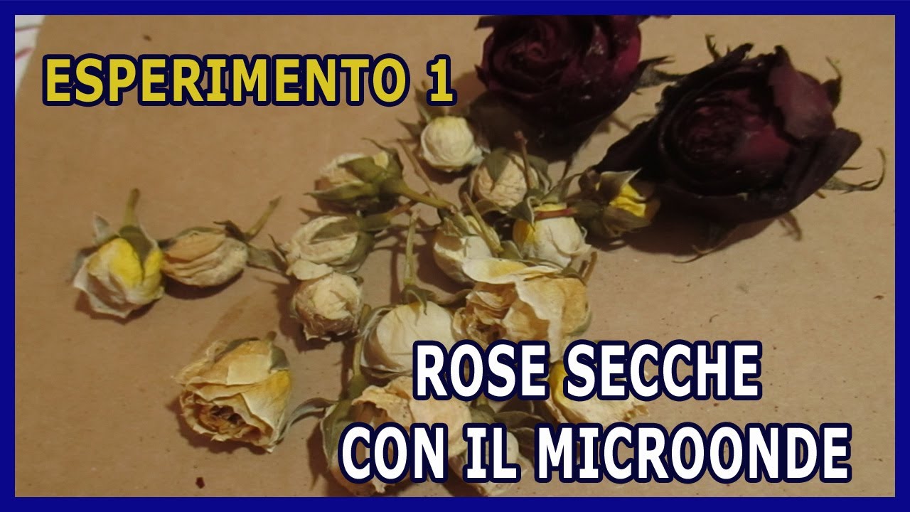 COME ESSICCARE I FIORI IN UN PAIO DI MINUTI CON IL FORNO A MICROONDE  E LA SABBIA - TUTORIAL 1