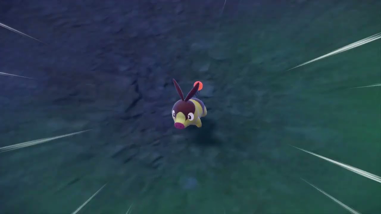 【寶可夢 朱紫】 0498 暖暖豬 色違 閃光 Shiny Tepig 1