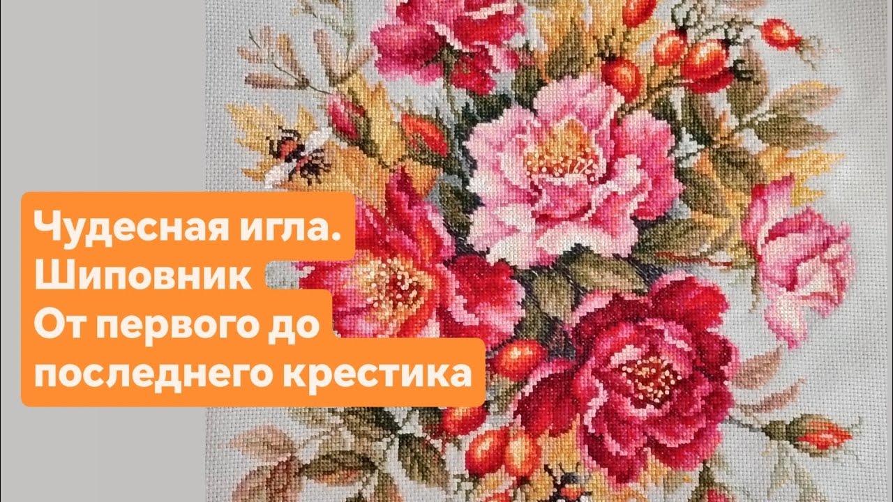Чудесная игла. Магия цветов. Шиповник. Полгода за 33 минуты 