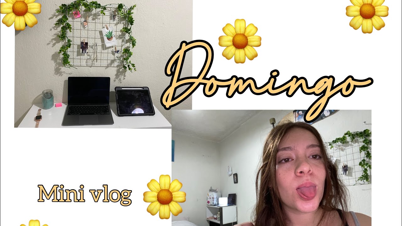Mini vlog de Domingo