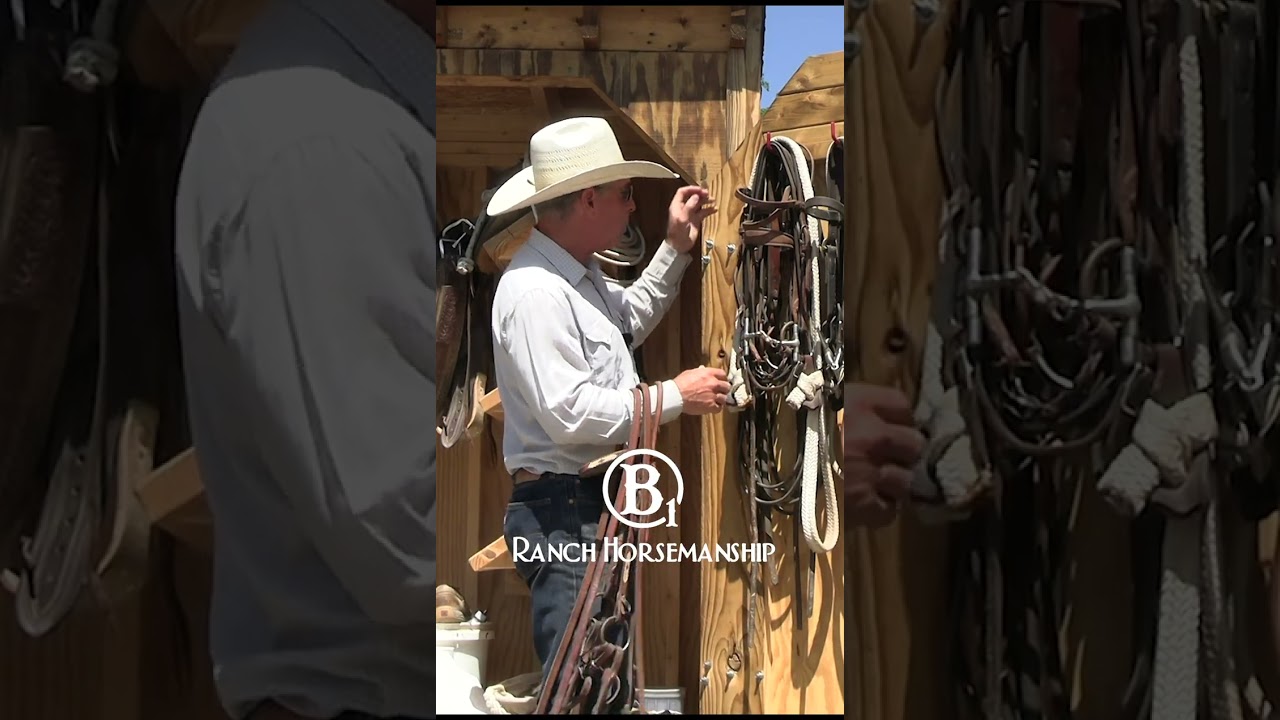 Bits : How and When To Use Them