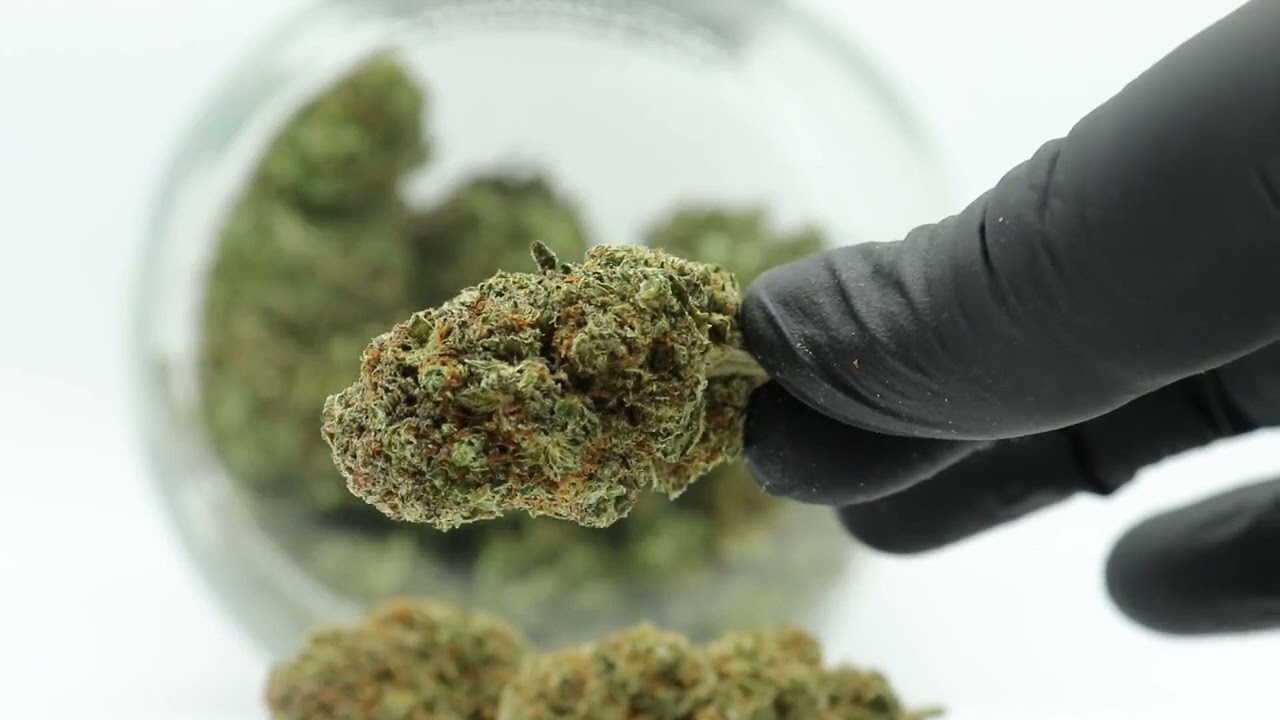Fleurs de CBD fran&ccedil;aise Strawberry Indoor cbd markets