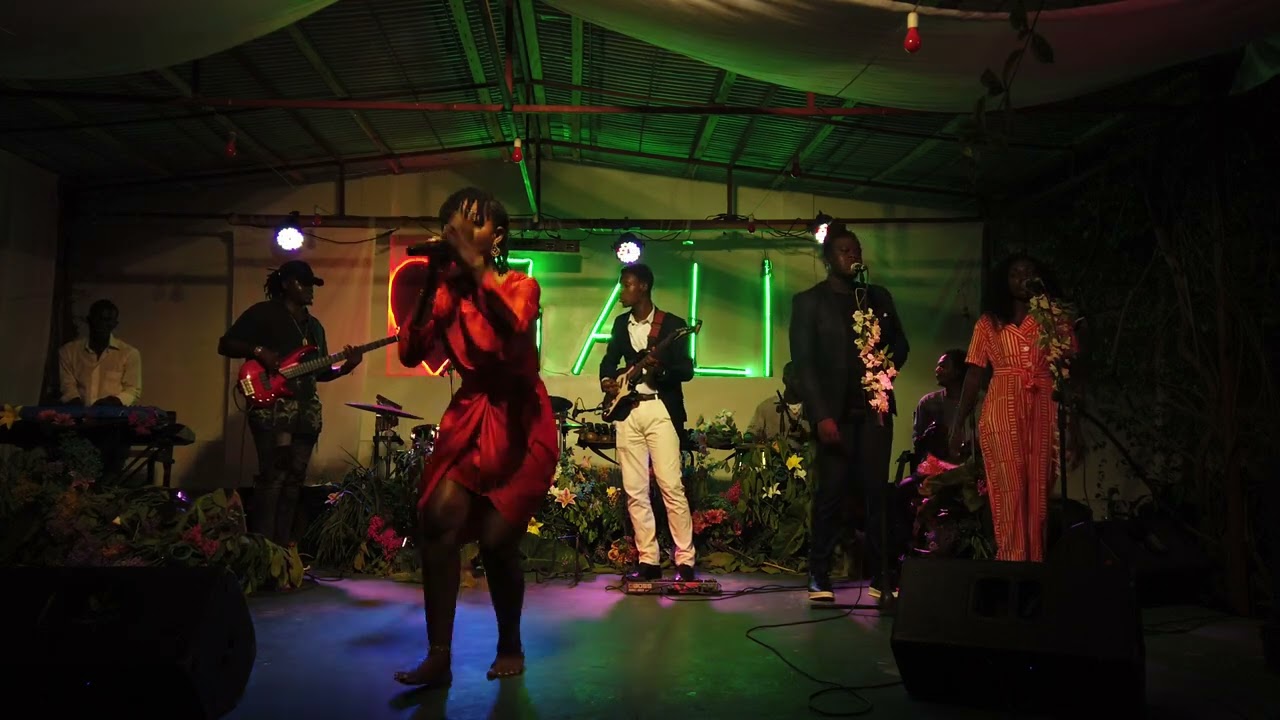 NESTELIA FOREST LIVE MINGUINITA & AH TIADI