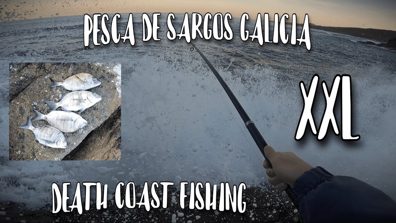 PESCA de SARGOS XXL en GALICIA [Resubido con audio]