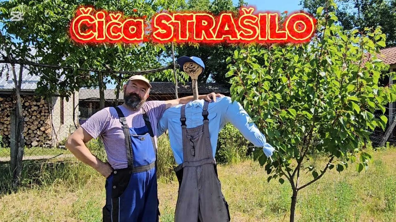 Čiča strašilo (Čiča Zlajina Rakija)