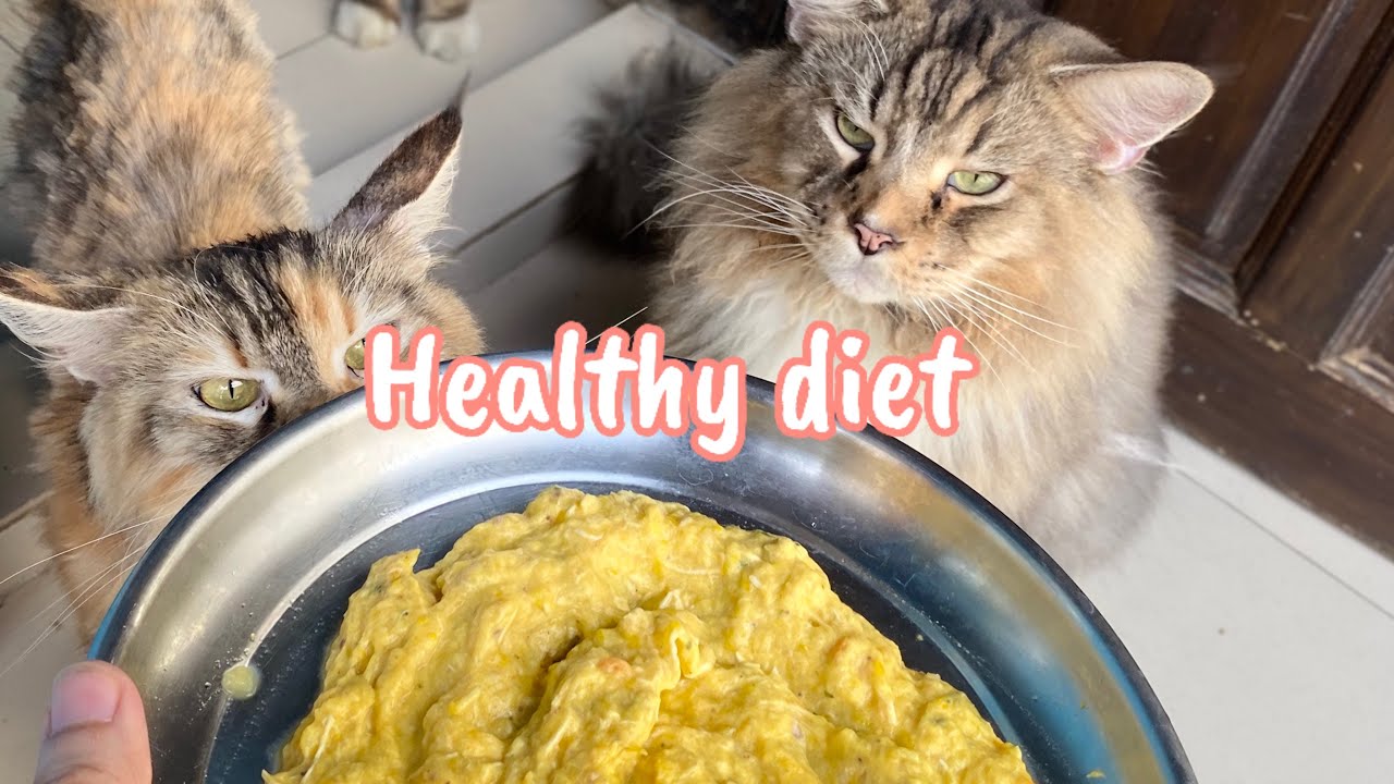 আজকে আমার মেইনকুনদের দিলাম হেলদি চিকেন ডায়েট মাশাল্লাহ