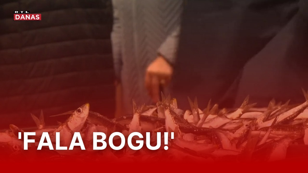 Omiljena riba vratila se na ribarnice, svi jedva dočekali, ali cijena više nije ista | RTL Danas