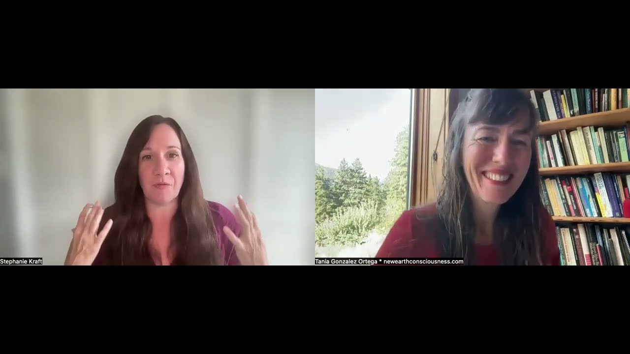 Twin Flames, Walk-ins, Energy Healing, and Life Between Lives with Stephanie Kraft