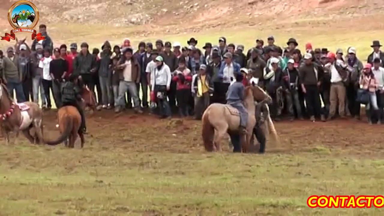 CONJUNTO YURINGA DE GRAU - Afici&oacute;n H&iacute;pica (Autor- Daniel Camargo)