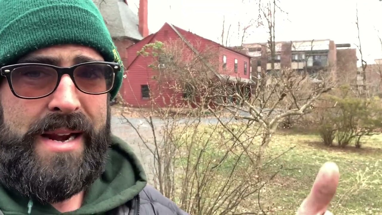 Winged Euonymus - Burning Bush Pruning