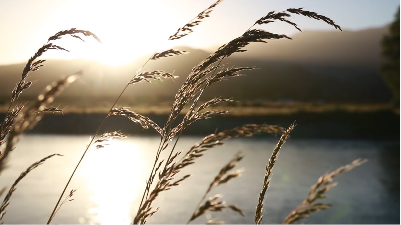 IDEAS | Un REGALO diferente y original gourmet 💚 | ARBOR SENIUM | | Coupage de Farga + Morrut