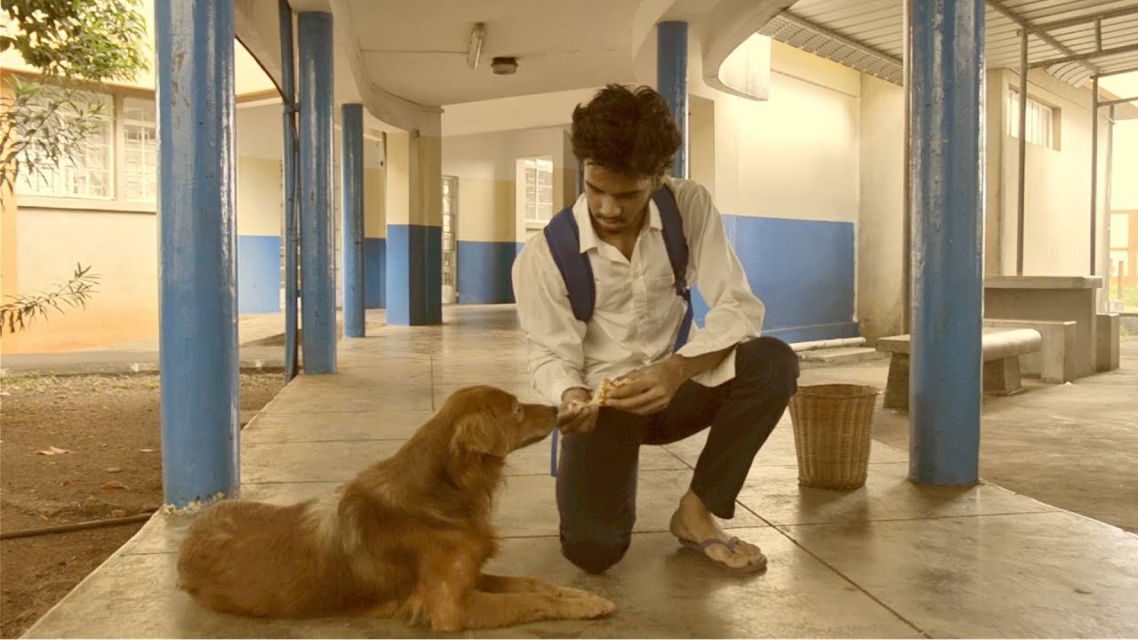 La Vérité Pa Ene La Honte (No Shame In Truth-Telling)