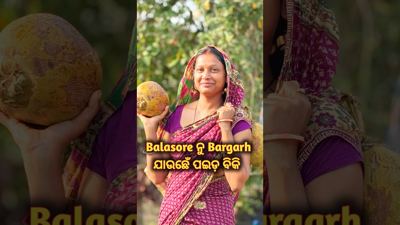 Balasore ନୁ Bargarh ଯାଉଛେଁ ପଇଡ଼ ବିକି