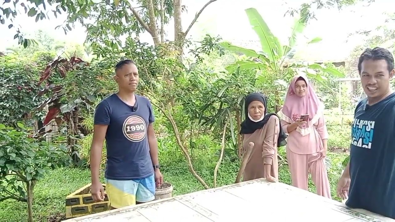 Andre Kuik Panen Manggis di Kebun Bu Heidy Kloer Keturunan Indo-Eropa Dari Gisting, Lampung