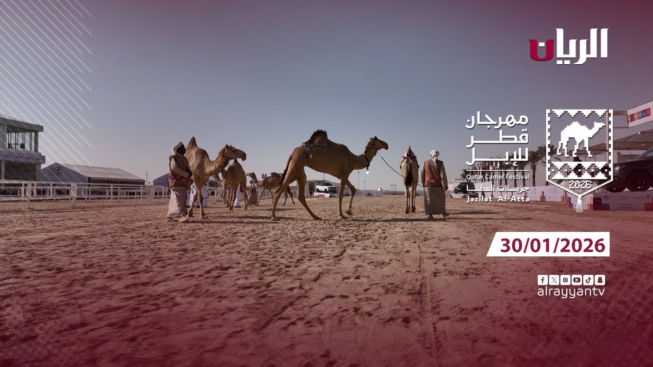 Катарский фестиваль верблюдов - Джазилат аль-Ата - 30 января 2026 г.