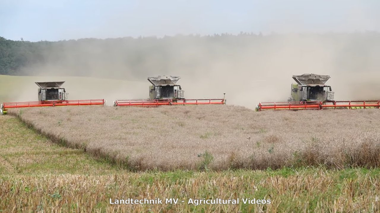 3X Claas 8900 / The Whole Story