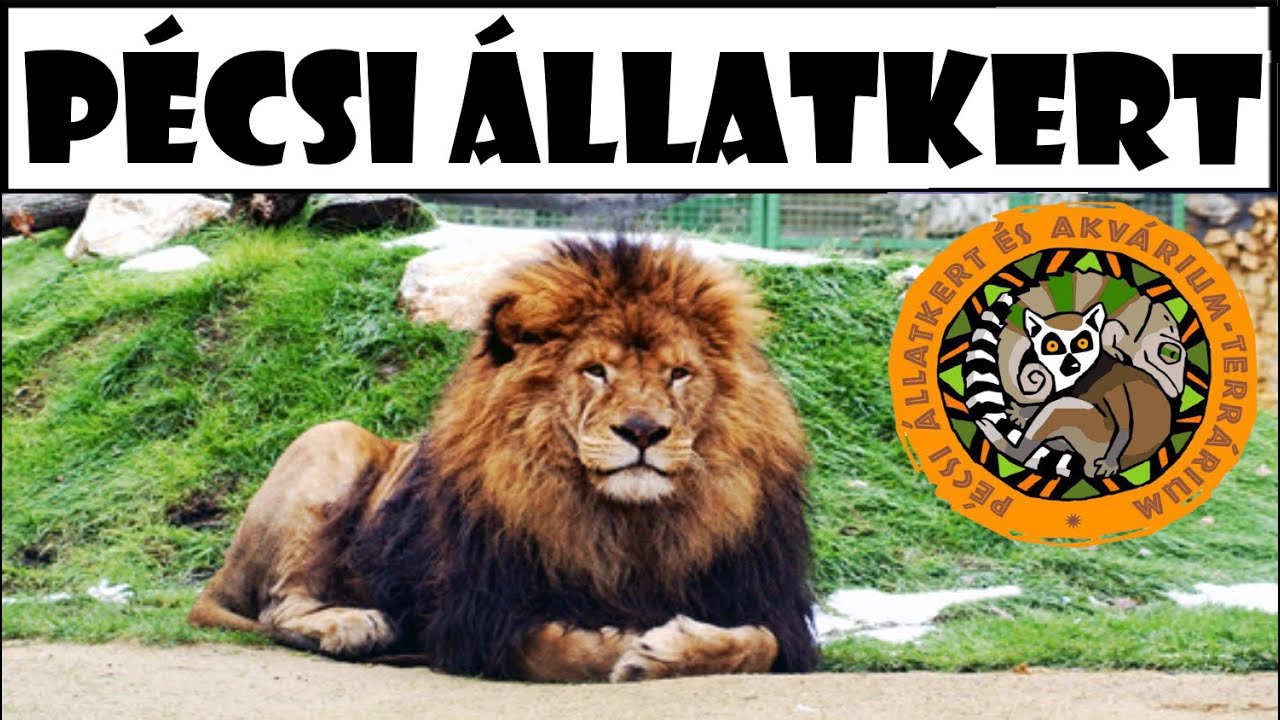 Pécsi Állatkert és Akvárium-Terrárium 2023