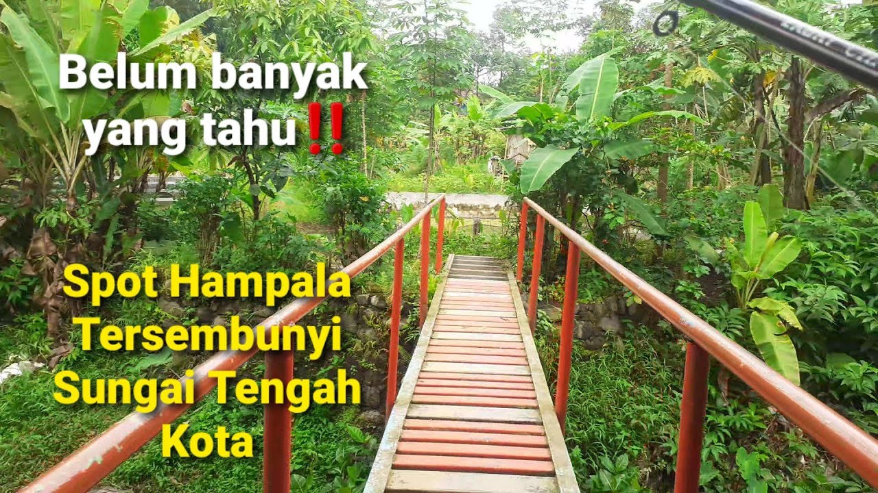 Belum banyak yang tau‼️Spot Hampala Tersembunyi, Sungai Tengah Kota || Urban Fishing