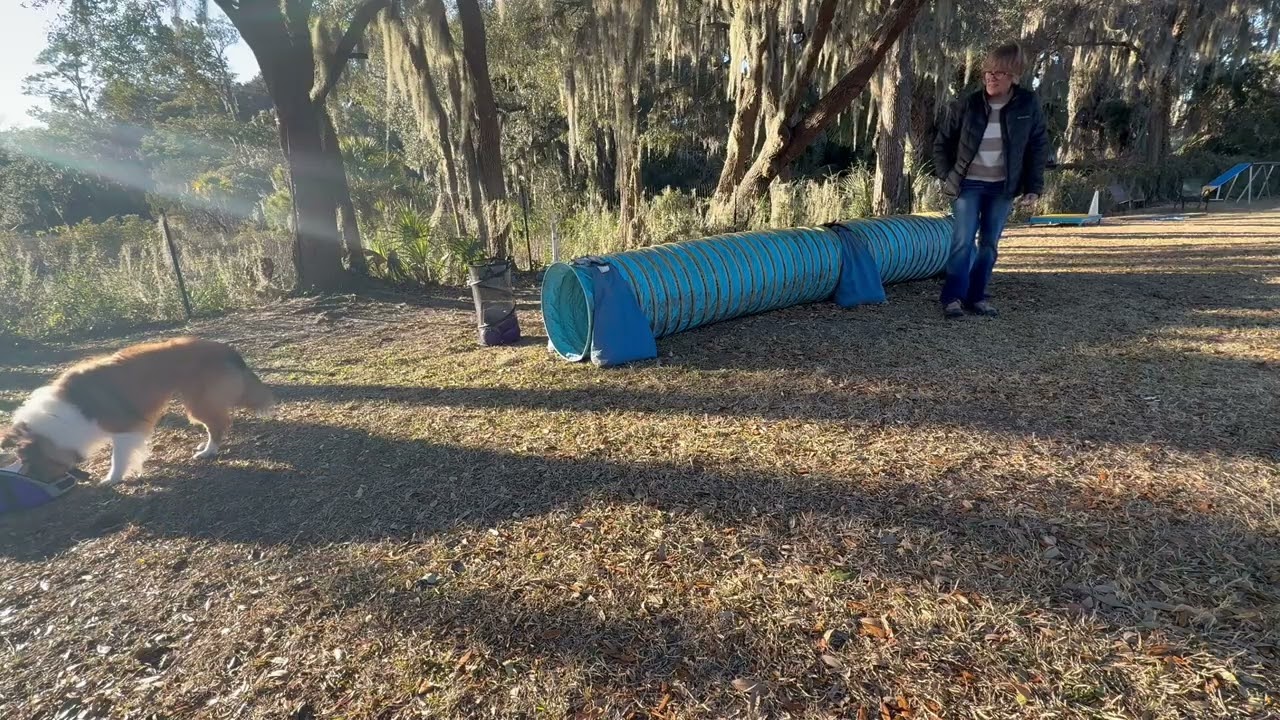 Wk 4 tunnels 