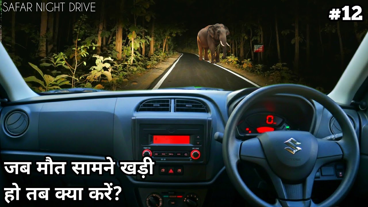 Safar Night Drive | What To Do If Encounter Elephant At Night Drive | 4k video in hindi
