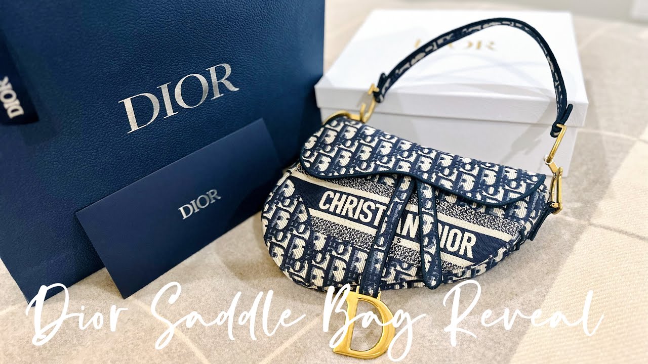 Dior Saddle Bag Reveal || What it fits, mod shots etc.